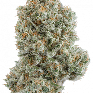 Lemon Burst Hemp Flower