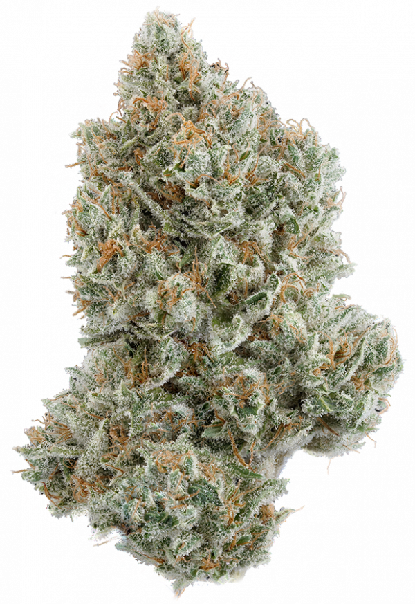Lemon Burst Hemp Flower