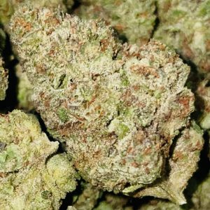 Gelato 41 - Hemp Flower
