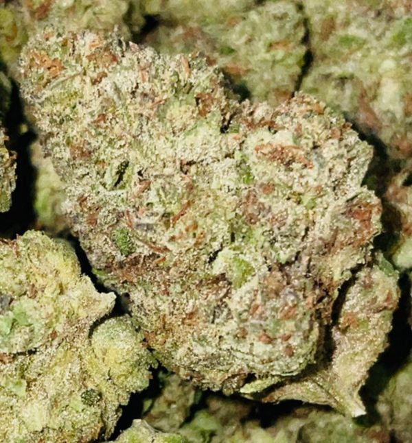 Gelato 41 - Hemp Flower