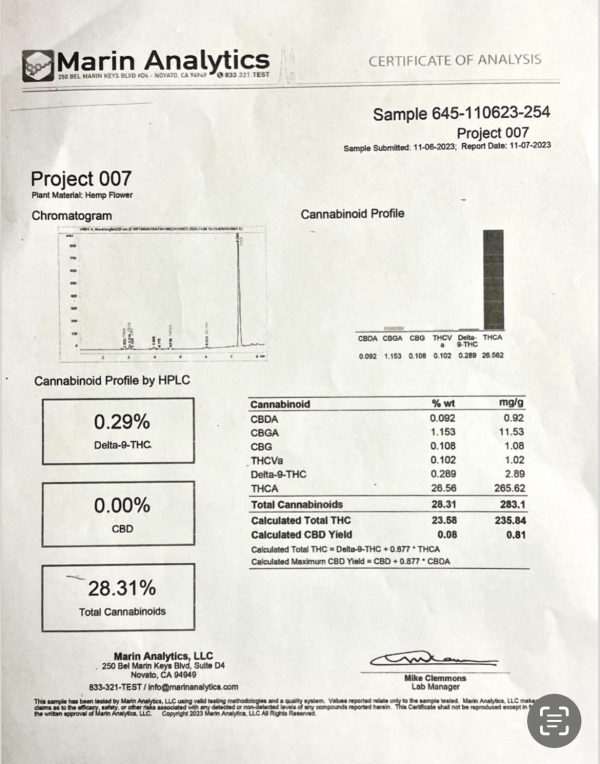 Project 007 - Image 4