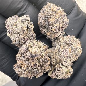 BLACK CHERRY GELATO
