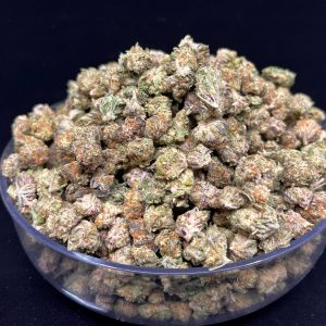 BLACKBERRY SORBET (indoor smalls)