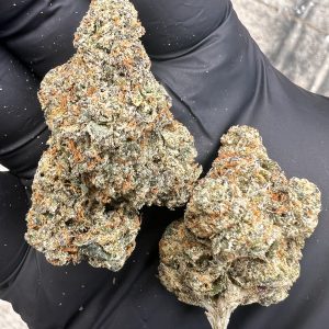 CHERRY PIE x RUNTZ