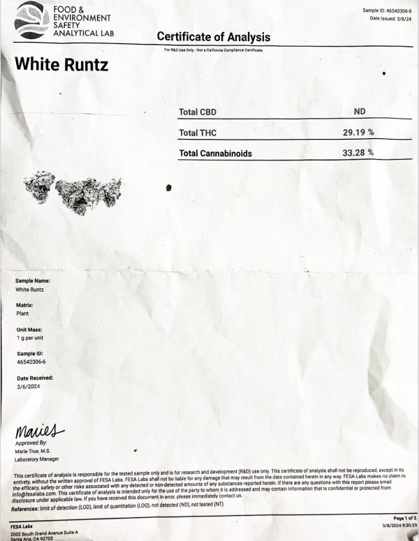 White Runtz- ( gh) - Image 3