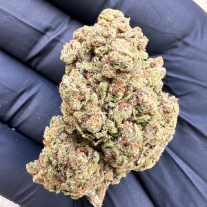 MIMOSA