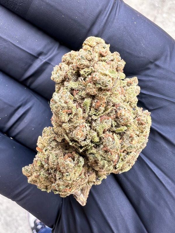 MIMOSA