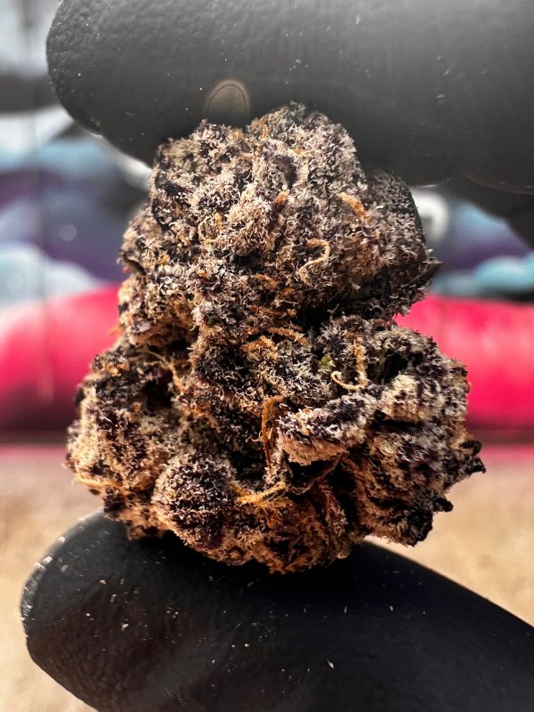 BLACK CHERRY GELATO - Image 2