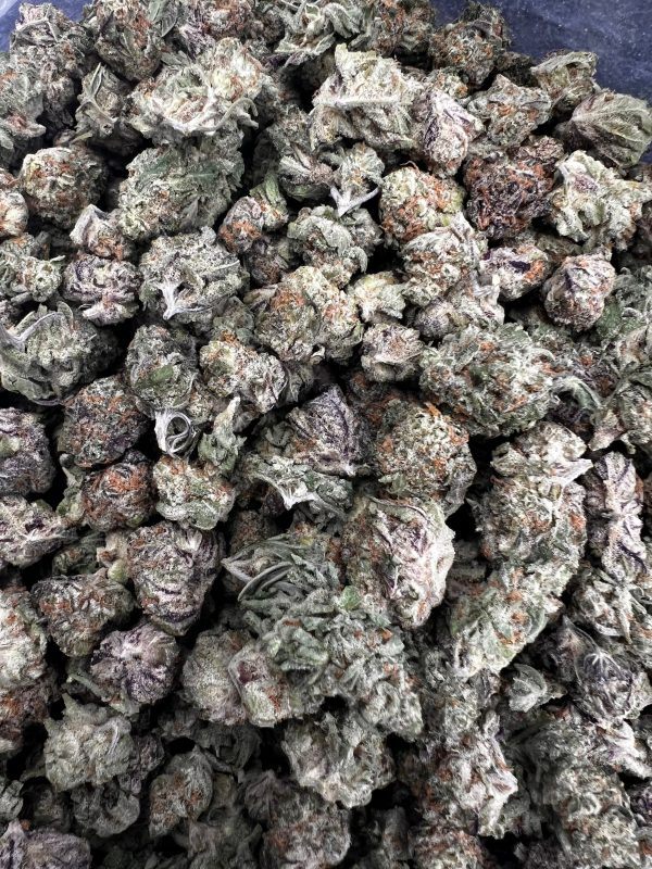 BLACKBERRY SORBET (indoor smalls) - Image 2