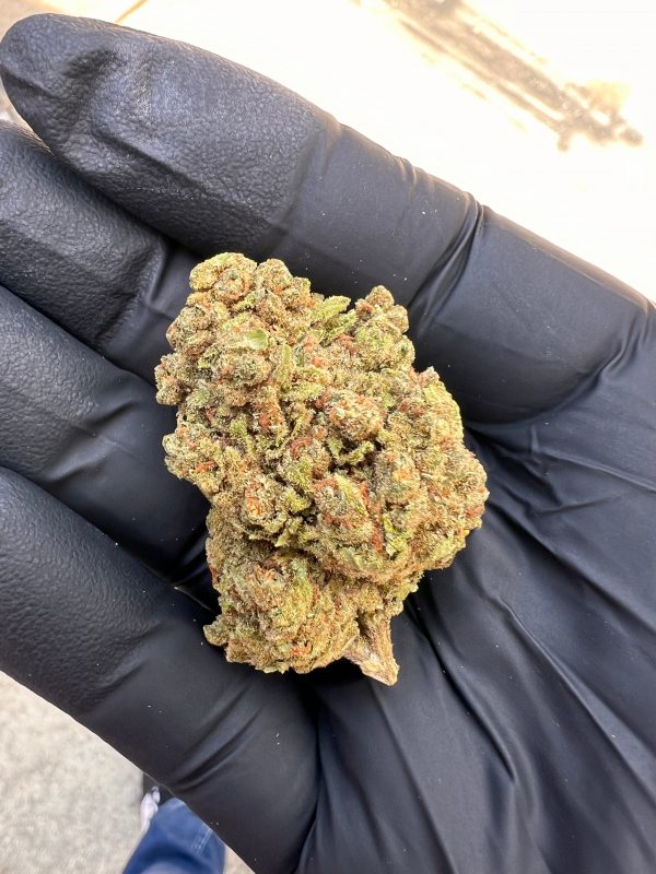 MIMOSA - Image 2