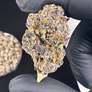 RAINBOW KUSH