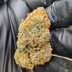 Sherbert x Zkittles